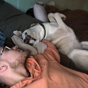 Meet your Posher, Dylan